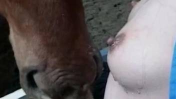Young Asian tries zoophilia with a horse