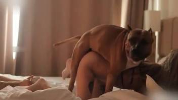 Aroused blond woman enjoys her dog's moist cock