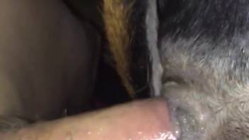 Guy stretching open a bitch's steamy cunt with his fat cock