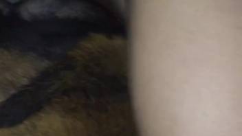Guy banging an obedient beast in a bestiality zoo video clip
