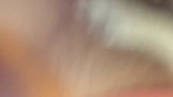 Guy's bushy dick being deep-throated by a perverted pooch