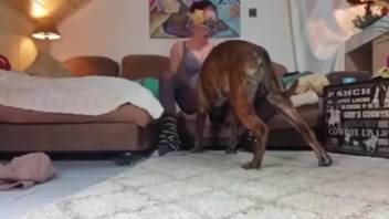 Canine penetrates a bestiality lover's moist vagina in doggy style position