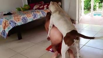 Masked Latina shakes her ass before fucking a dog