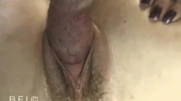 Crazy hot masturbation with a leggy zoophile babe