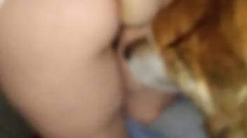 Horny woman with huge butt, filthy pig sex show on webcam