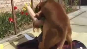 Blond babe relishes the canine dick in outdoor smut