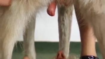 Erotic bliss for the blond hottie with a wild booty