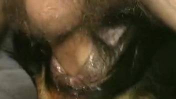 Controlling guy overpowers a naughty beast in missionary