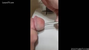 Guy shoves worms into his dick during insane zoo stunt