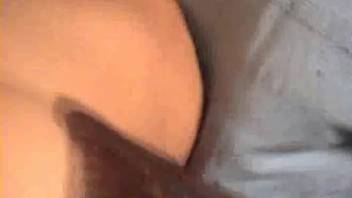 Excited lady senses the full canine cock pounding her dripping pussy