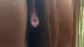 Intense naked bestiality encounters involving an aroused horse