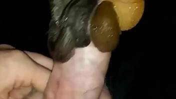 Dude's cock gets covered in sexy snails here