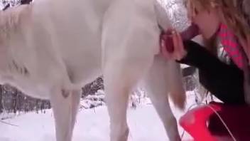 Fair-skinned blond woman inserts her canine's penis into her mouth