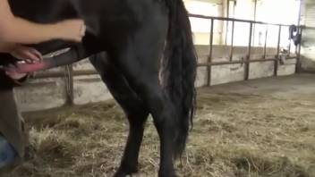 Inked woman being pounded by a well-hung brute