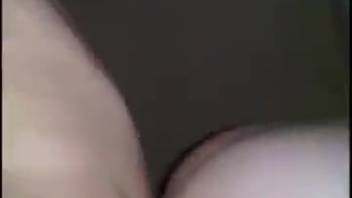 Naked spouse filmed engaging in depravities during bizarre bestiality sequences