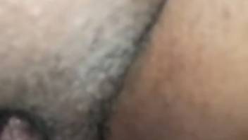Hot canine tonguing that sweet vagina intimately in first-person view