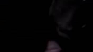 Midnight canine erotica gets the aroused guy to masturbate quicker