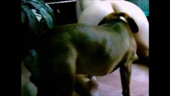 Voluptuous butt spouse ravaged by her canine in ruthless adult sequences