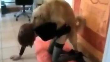Dashing amateur woman filmed in secret doing dog zoophilia