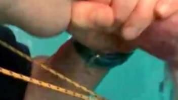 Aroused guy deepthroats beast's dick in messy bestiality audition