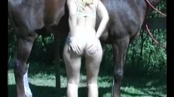 Blonde blowing a brown horse's cock outdoors