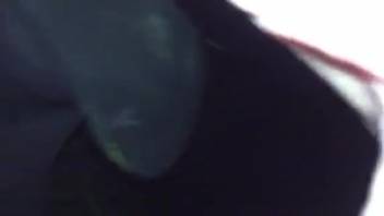 Female horse's vagina ravaged in an intensely erotic adult film