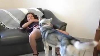 Pretty hot amateur doll tries having sex with a dog