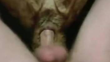 Deep sex insertion for a man when humping his furry friend