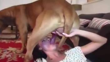 Dirty women are having a wild time sucking dog dicks in excellent XXX