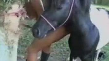 Tanned Latina in leather boots fucking a hung pony