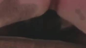 Filthy creature being pounded by an excited man from the back