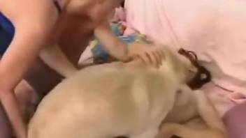 Hot women fucking each other and a dirty doggo