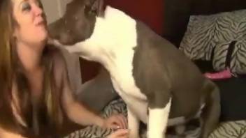 Sexy animal is happy to fuck a dirty lady on a bed