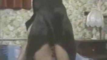 Black dog banging a boots-wearing chick from behind