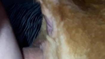 Hot dog pussy getting fucked by a dirty dude