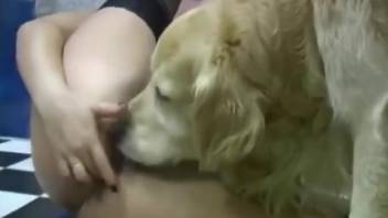 Blonde and brunette share furry inches of dog dick the hard way