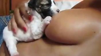 Small puppy stimulates busty Latina with nice oral