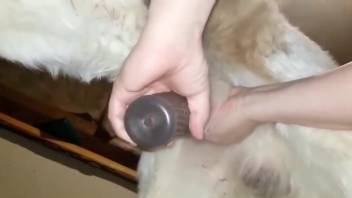 Man plays with the dog's dick in true homemade perversions