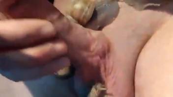 Nude man puts many snails on his dick and balls for better pleasure