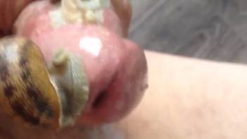 Aroused guy becomes extremely excited with a snail on his cock