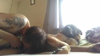 Aroused homosexual guy messes around with his pet dog during a perverted audition