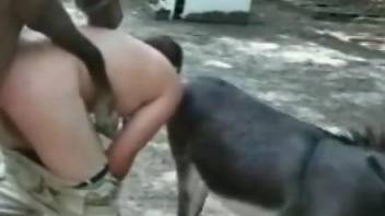 Donkey watches this chubby zoophile fucking a horse
