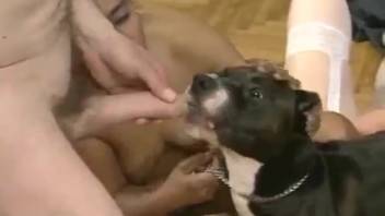 Seductive ladies participate in homemade orgy and bestiality indoors