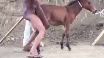 Bare ebony guy anally screws mule in homemade al fresco porn