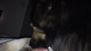 Bearded dude letting the beast satisfy his privates
