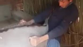 Inexperienced guy harshly bangs beast on the ranch in a savage adult spectacle