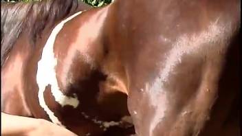 Wavy-haired ginger blowing equine dick outside