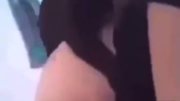 Ebony mongrel thrusting into this woman's tasty vagina