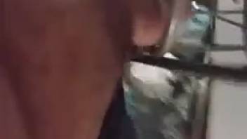 Guy with a tiny dick enjoying time with his pet
