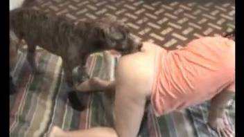 Perky butt babe getting fucked on all fours by a dog